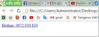 Websiteviet.vn