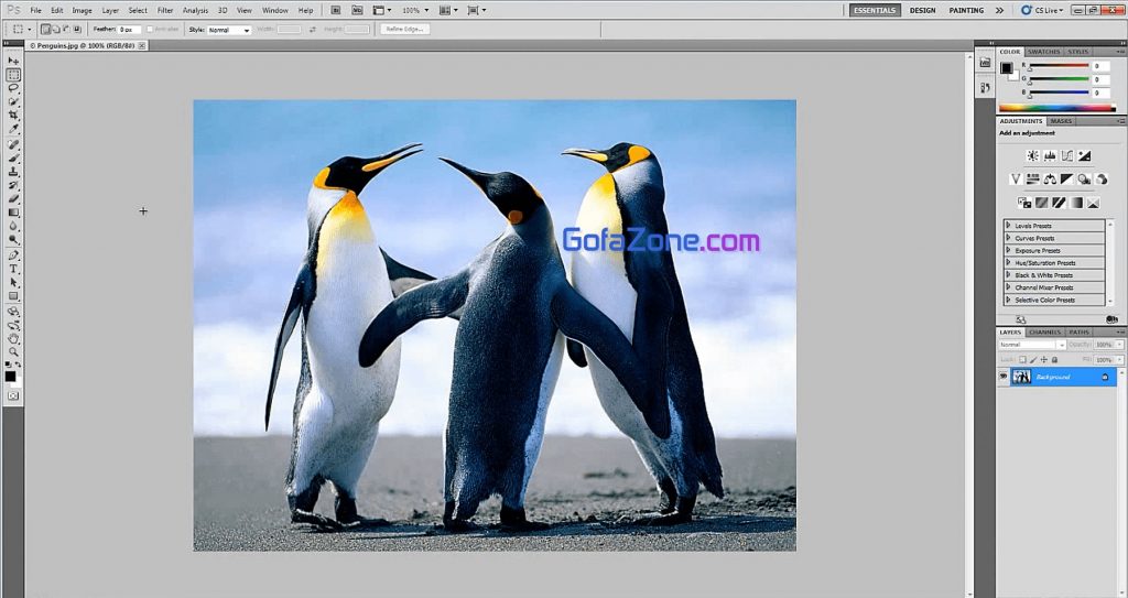 Websiteviet.vn