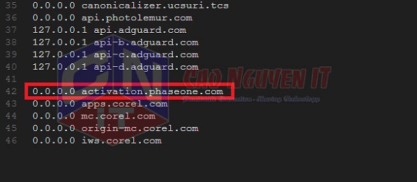 Websiteviet.vn